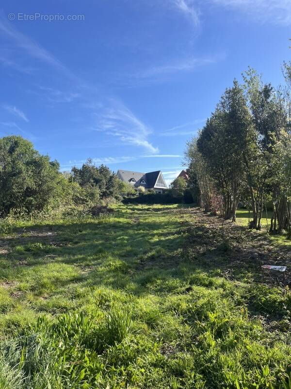 Terrain à OCTEVILLE-SUR-MER