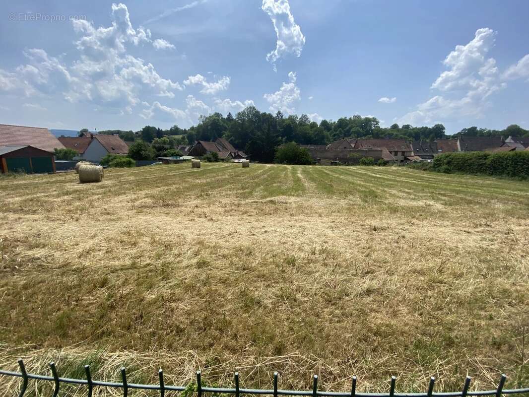 Terrain à NIEDERHASLACH