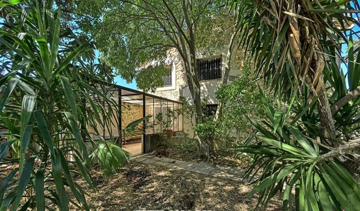 Maison à MONTPELLIER