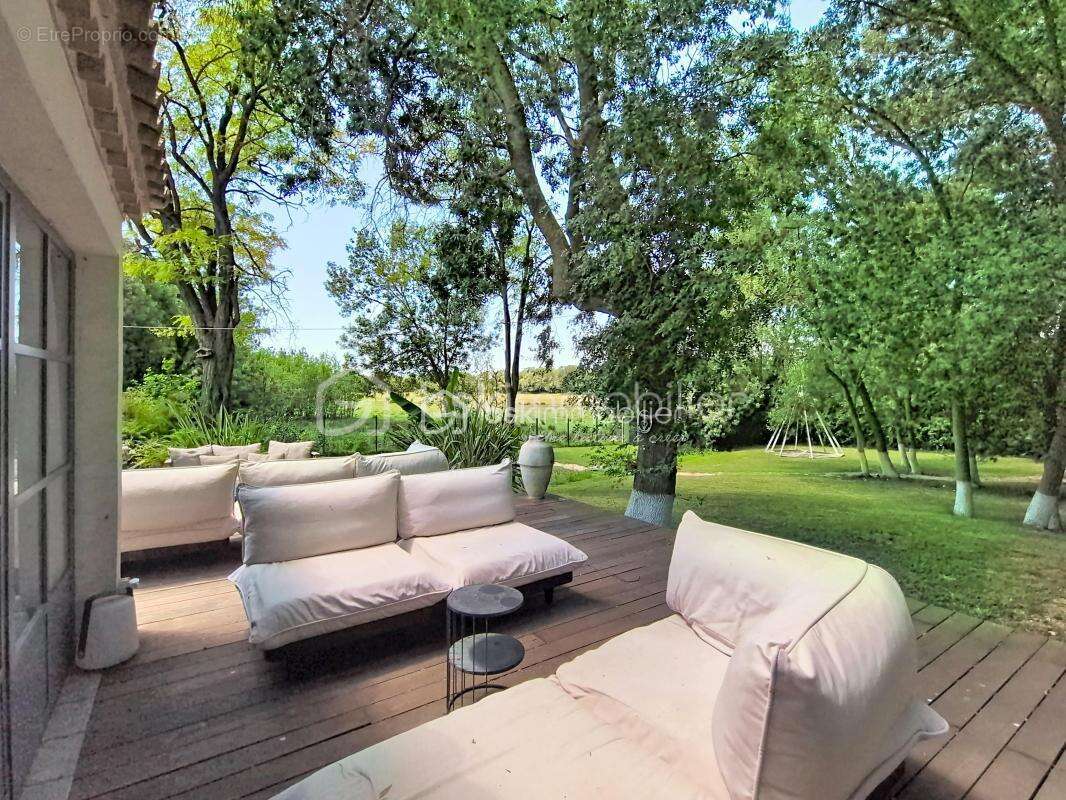 Maison d'exception au cœur de la Petite Camargue -Le Cailar - photo 4