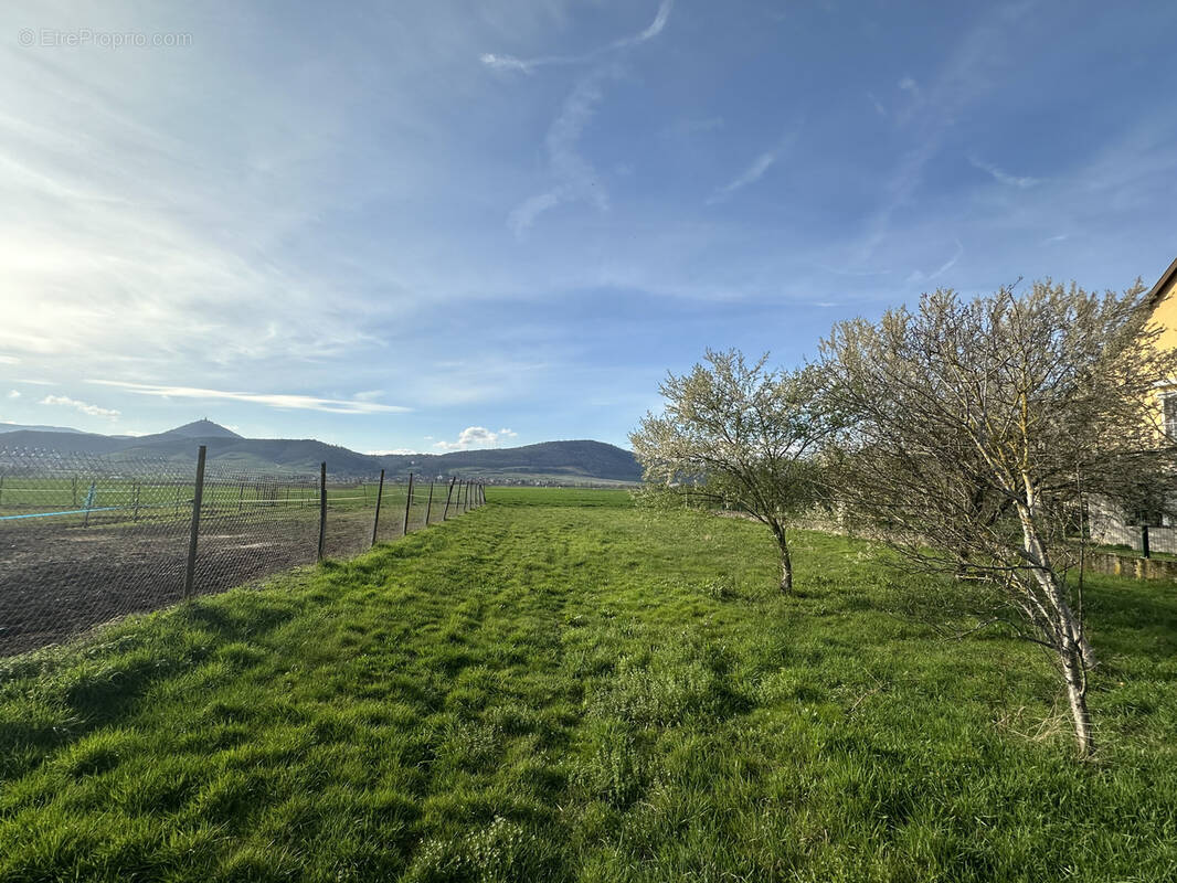 Terrain à SELESTAT