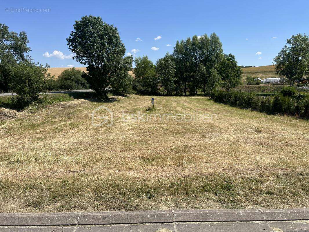 Terrain constructible idéalement situé – 1 195 m² - photo 3