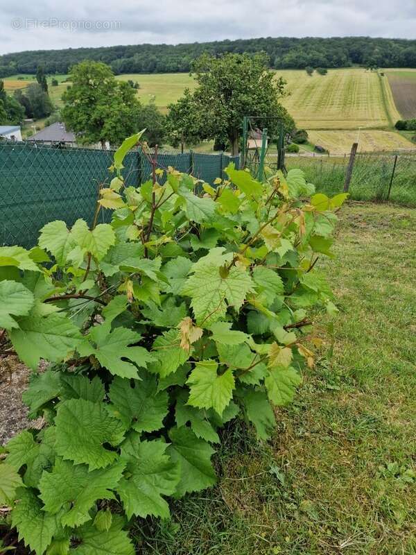 Maison à CONTREXEVILLE
