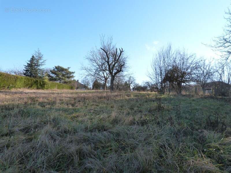 Dpt Moselle (57), à vendre proche de SARREGUEMINES terrain - Terrain de 779,00 m² - photo 5