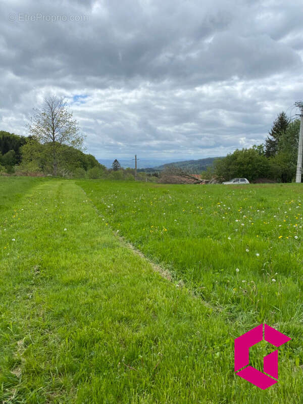 Terrain à LE BRUGERON