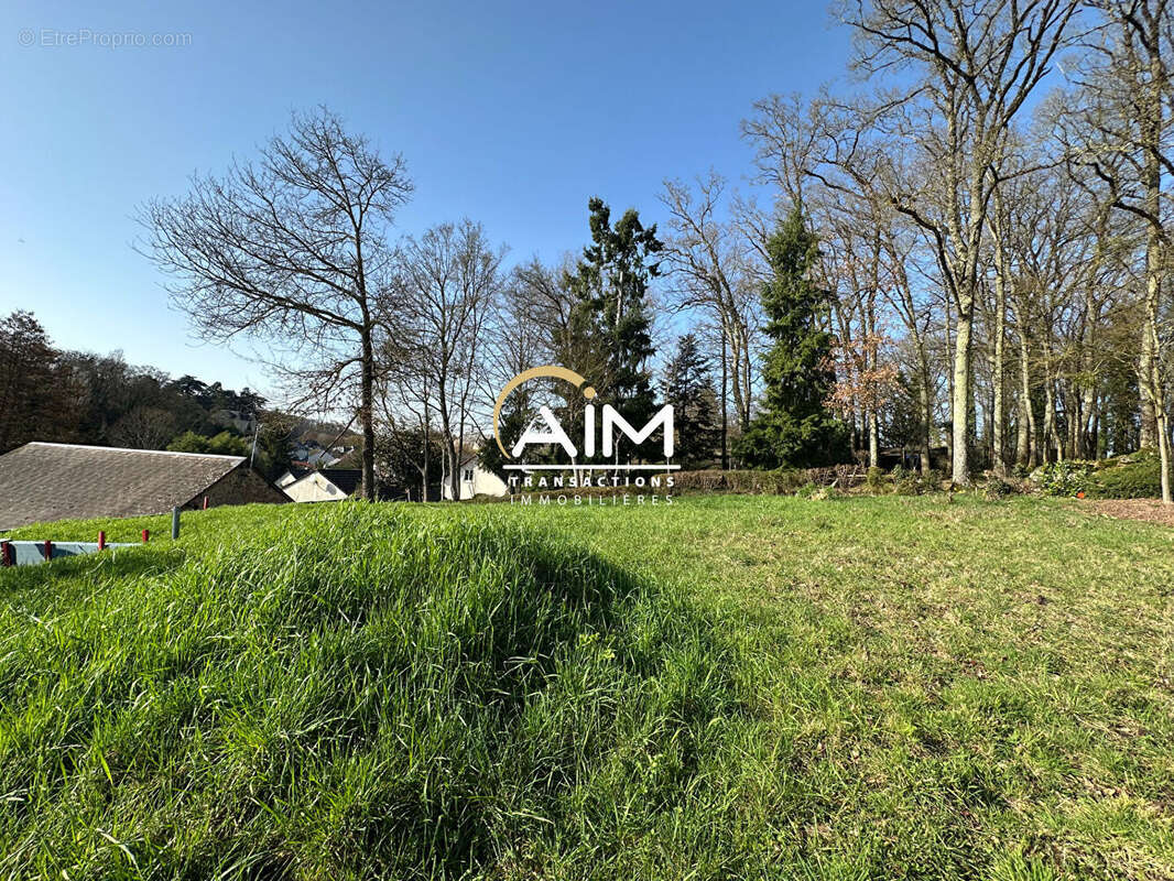 Terrain à SAINT-ANTOINE-DU-ROCHER