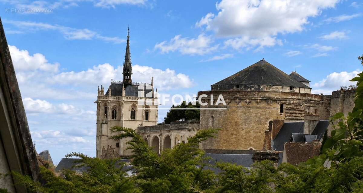 Maison troglodyte d'exception au cœur d'amboise - photo 2