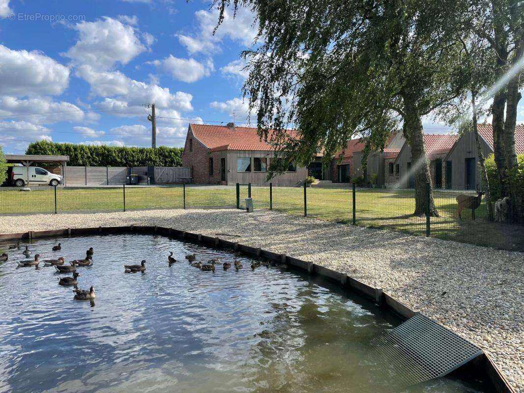 Maison à BOUSBECQUE