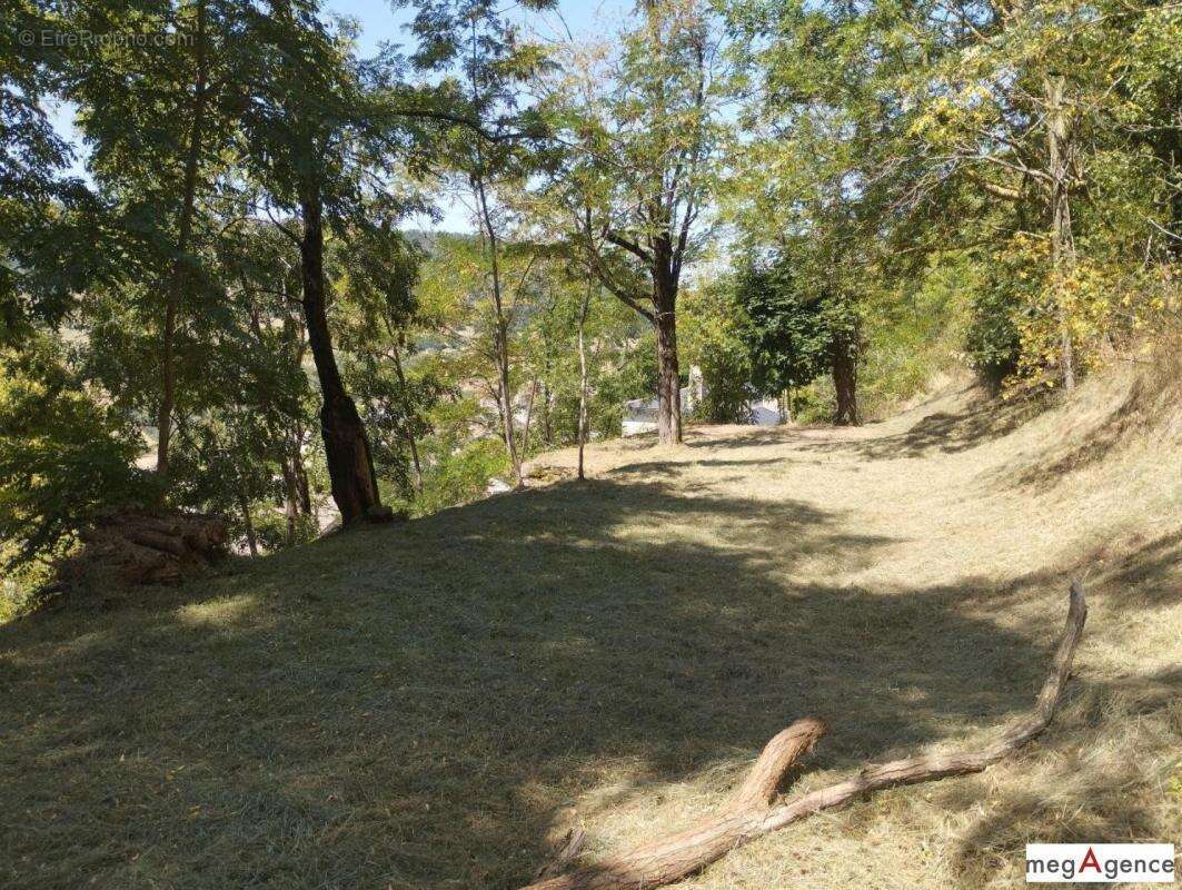 Barre-des-Cévennes – Maison 2 ch. + terrain - photo 9