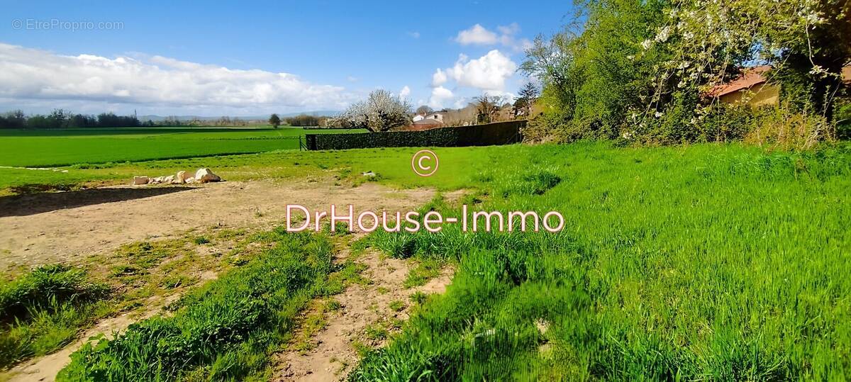 Terrain à SAINT-BERNARD