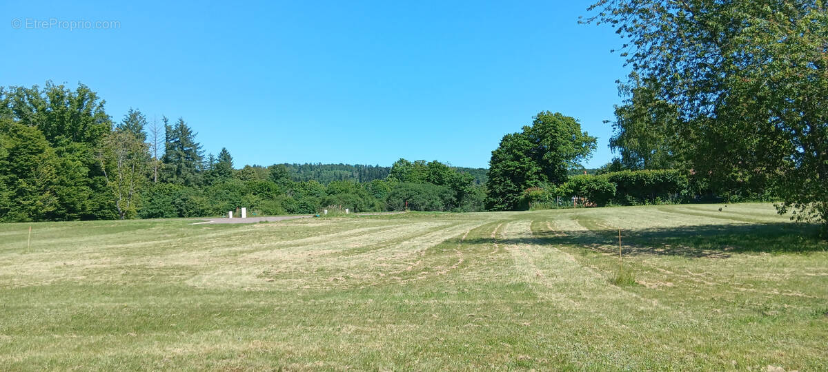 Superbe terrain plat et viabilisé-Très rare -Idéal pour votre futur maison ! - photo 3