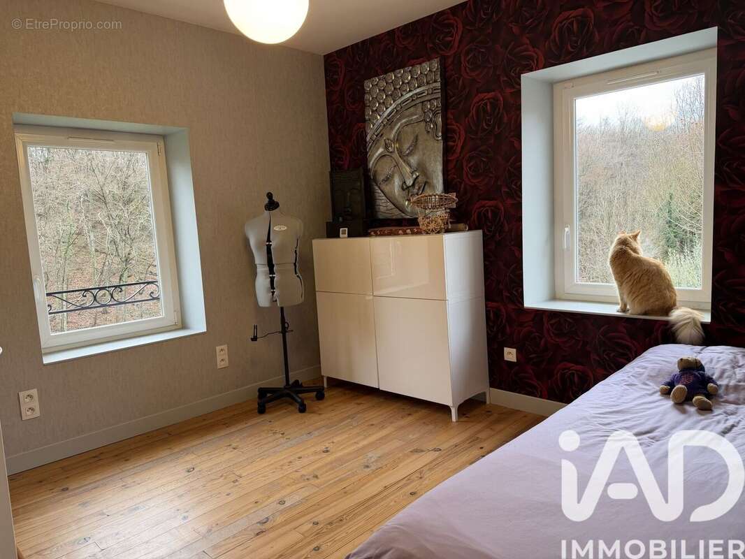 Photo 8 - Maison à ORLIENAS