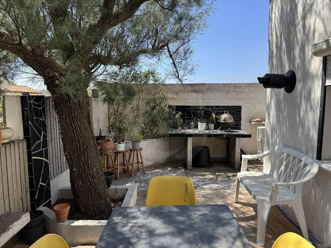 Un petit paradis rare au bord de l'étang de thau - photo 14