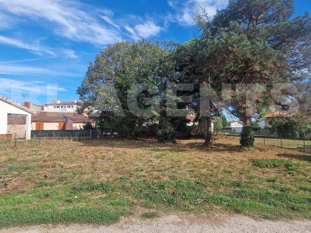 5a8cfaf3-f3cf-46bb-8b56-dd9b908440f6 (1) - Terrain à CASTELSARRASIN