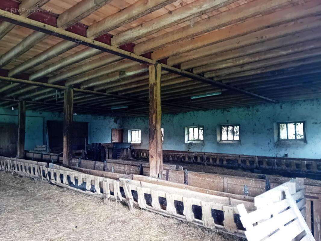 Commerce à PARISOT