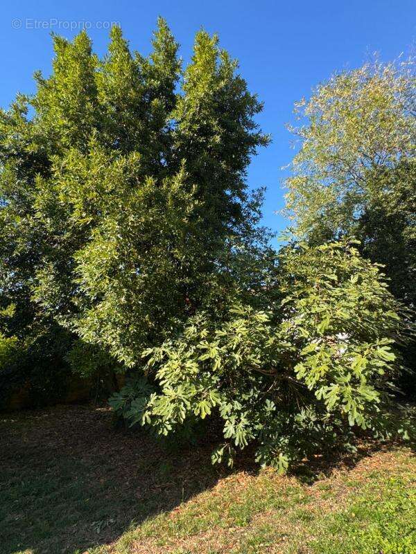Maison à SAINT-LOUBES