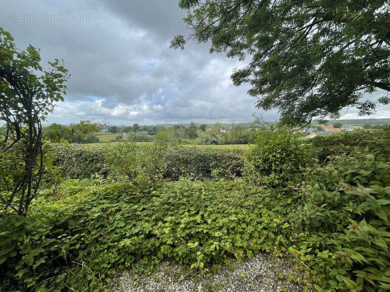 Maison à LOTTINGHEN