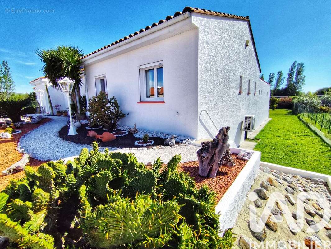 Photo 3 - Maison à SALSES-LE-CHATEAU