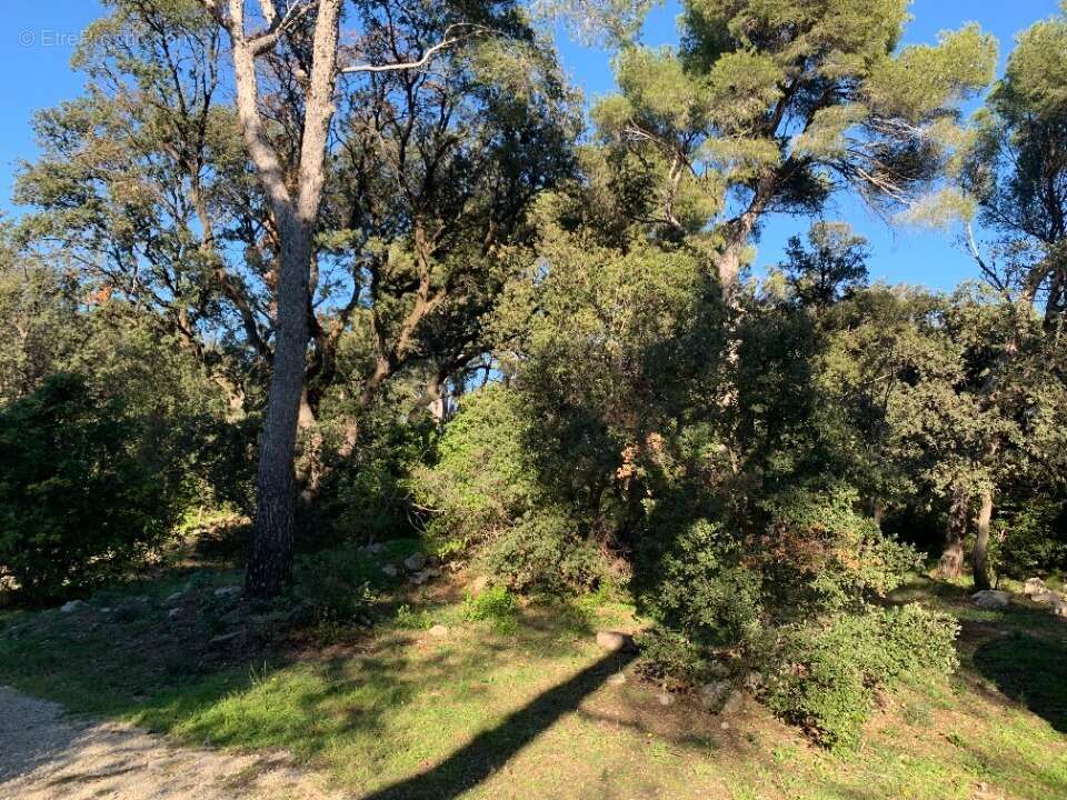 Terrain à MARTIGUES