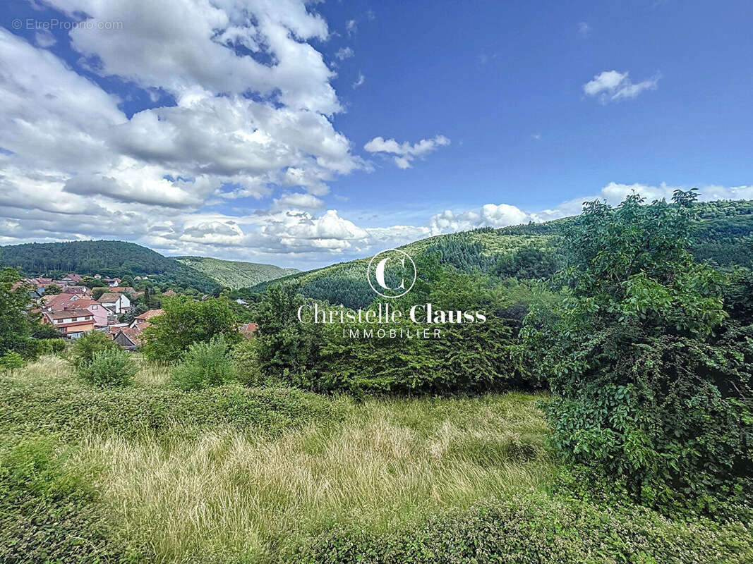 Terrain à GRENDELBRUCH