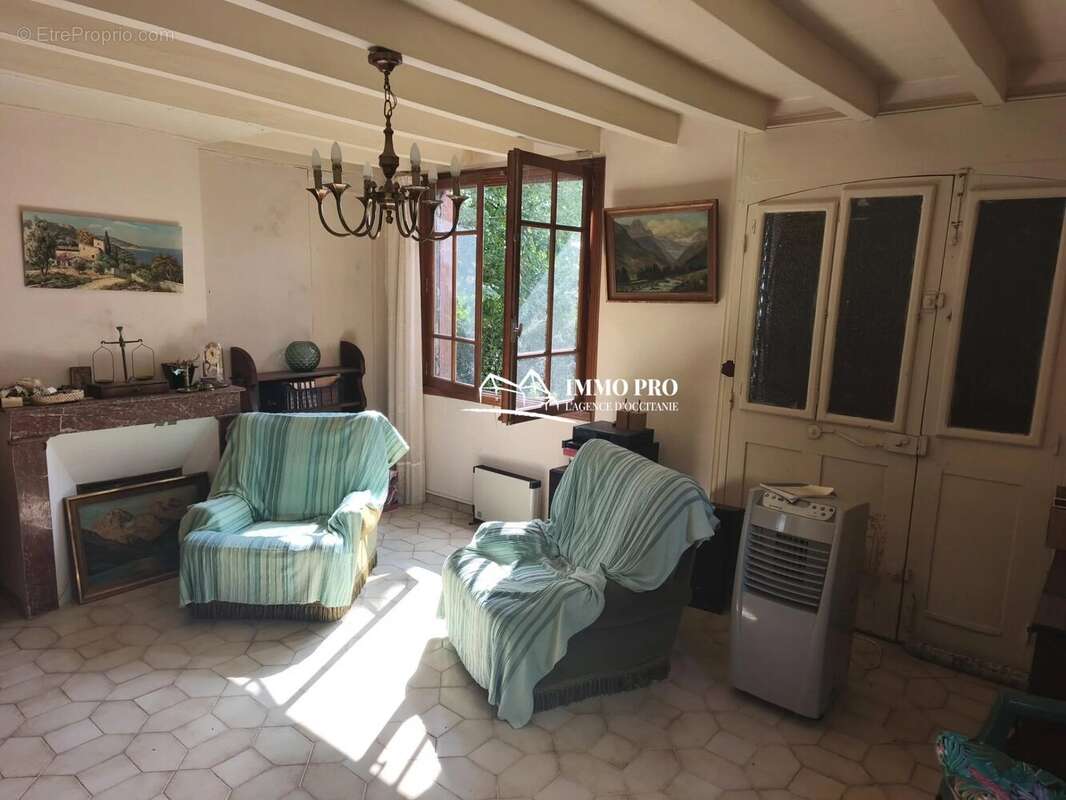 ISLE en DODON    Maison avec jardin - photo 3