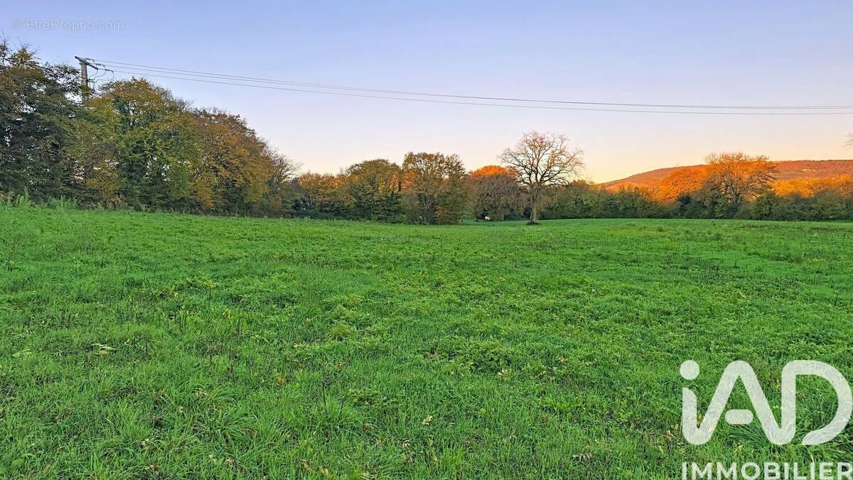 Photo 1 - Terrain à MONTAGNAT