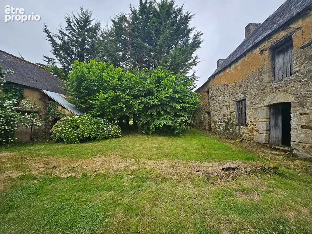 Projet Rénovation Maison Evran ; Entre pierres, torchis et nature : un lieu à faire renaître ! - photo 2