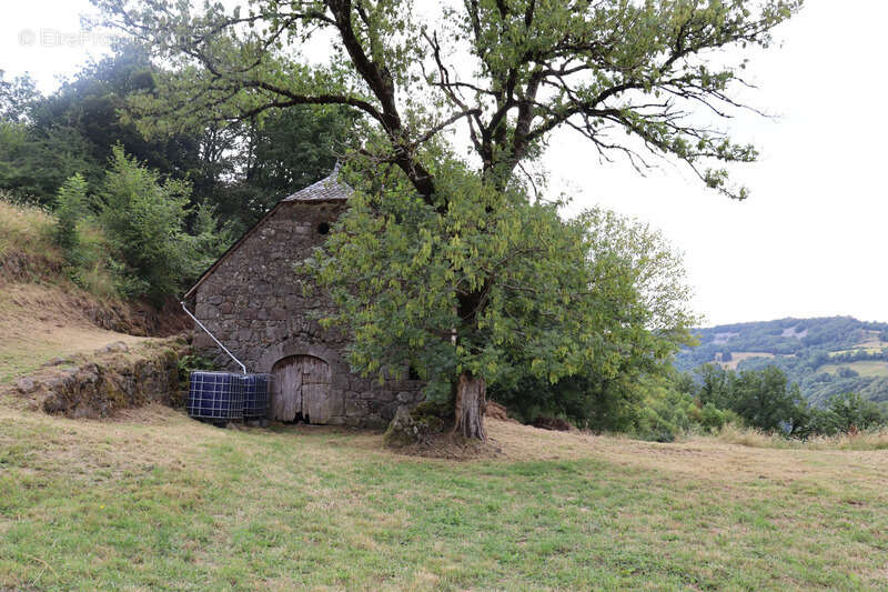 Maison à SAINT-PROJET-DE-SALERS