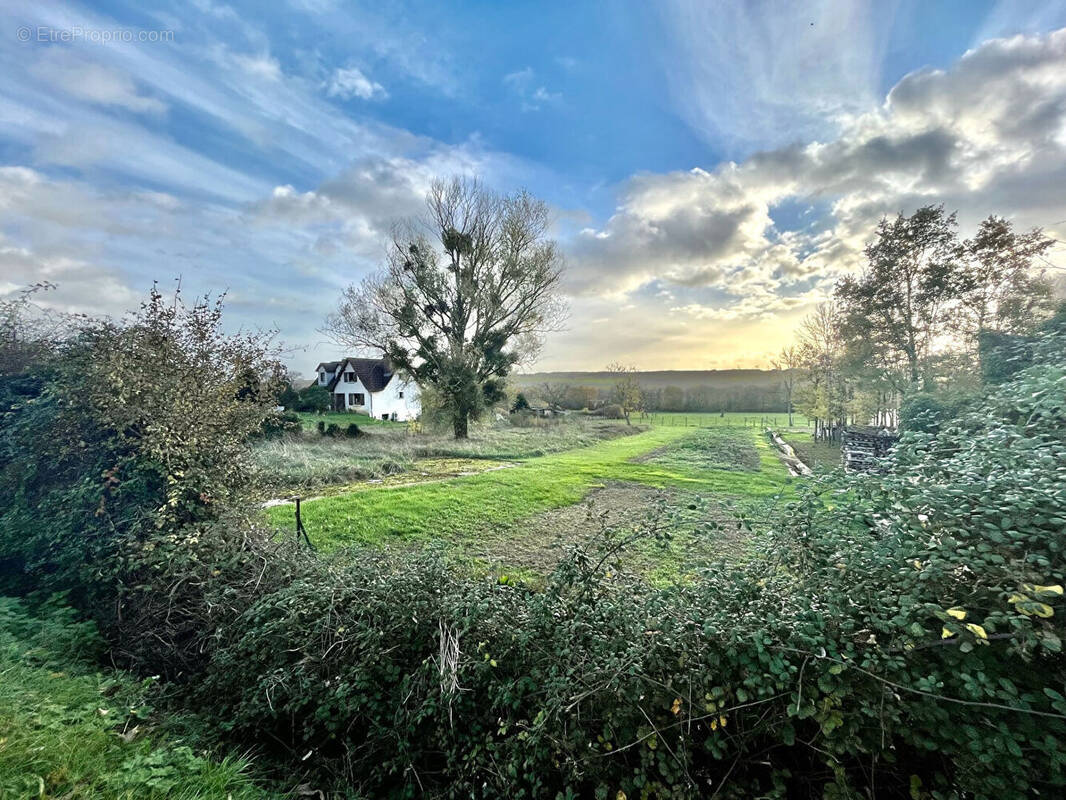 Terrain à FLOGNY-LA-CHAPELLE