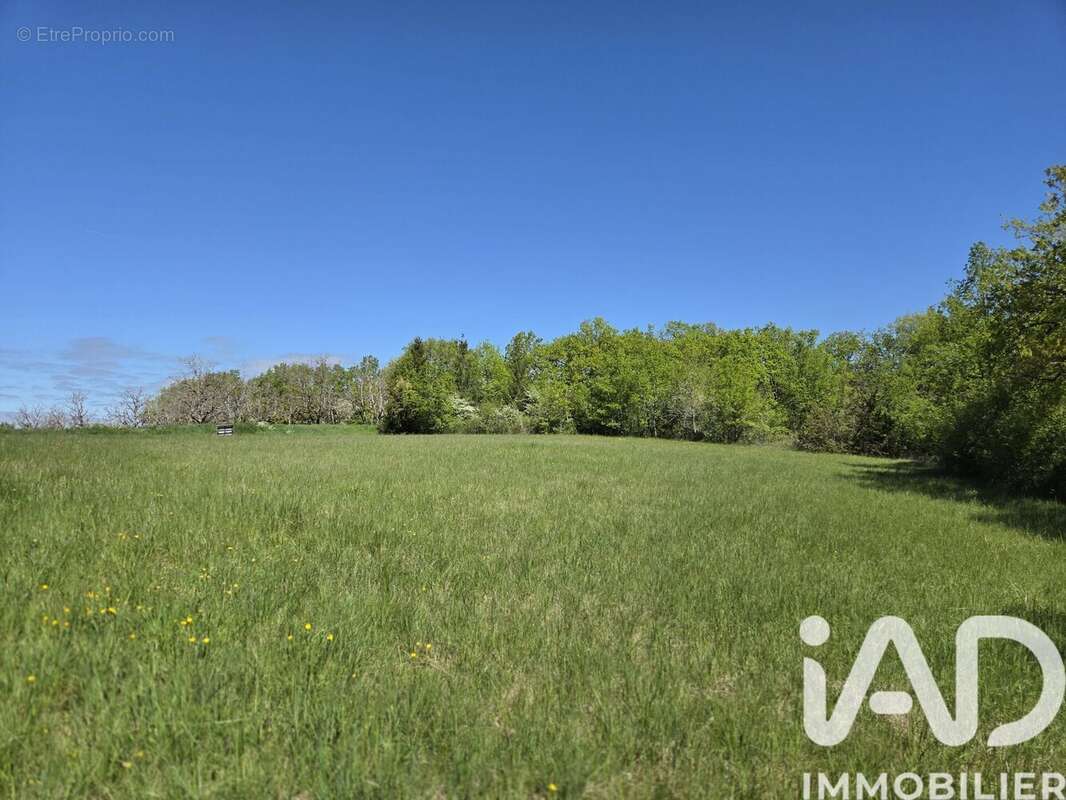 Photo 5 - Terrain à BETAILLE