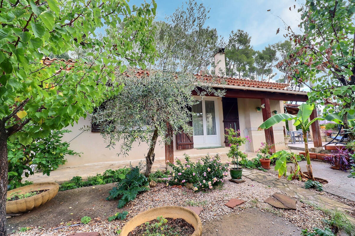 Maison à SAINT-VINCENT-DE-BARBEYRARGUES