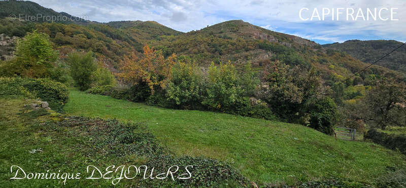 Ardèche, à 5 mn en voiture de St Pierreville au coeur du parc national des Monts d'Ardèche, spacieuse maison de 178m² avec une g - photo 3