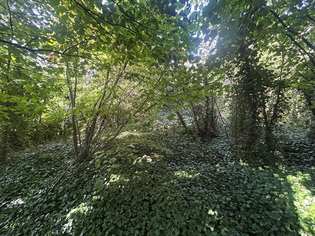 Autre à MONNERVILLE