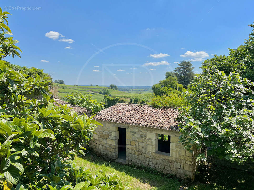 Maison à SAINT-EMILION