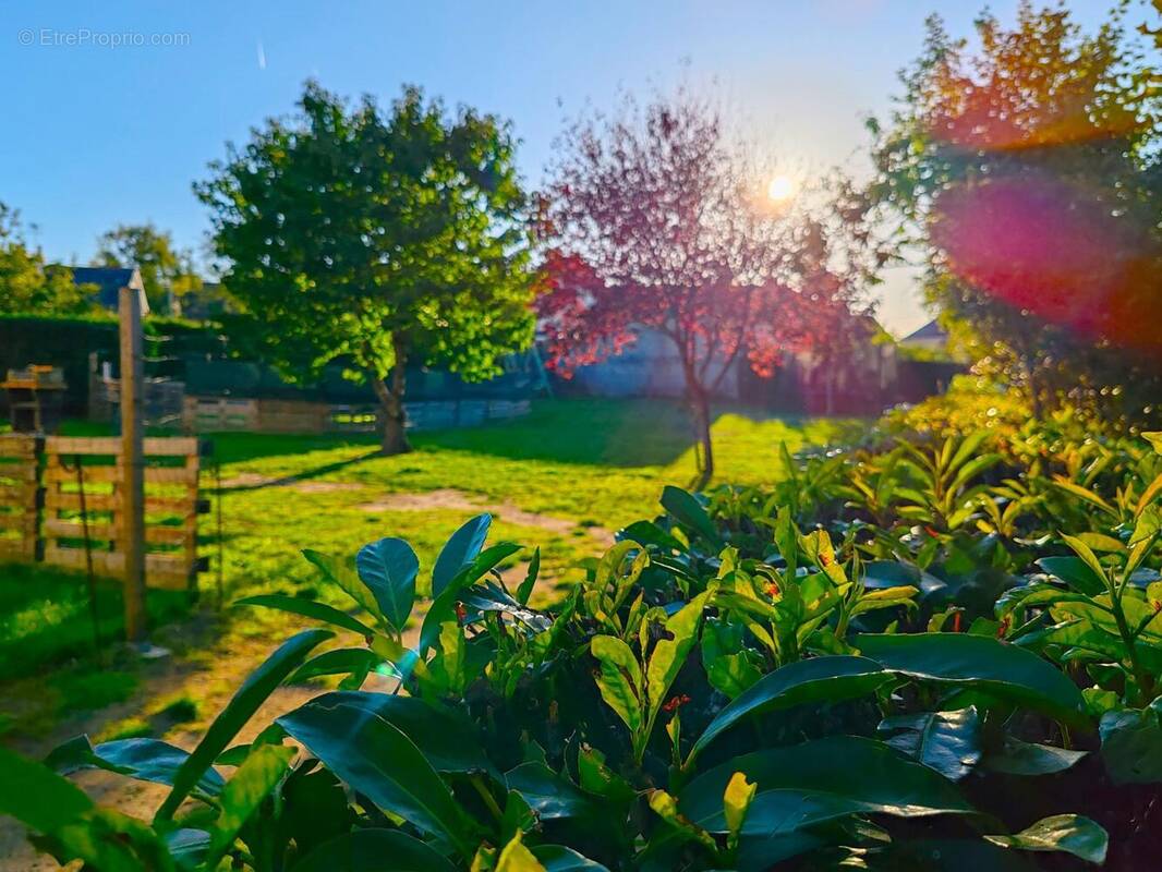 Photo 1 - Maison à BAUGE