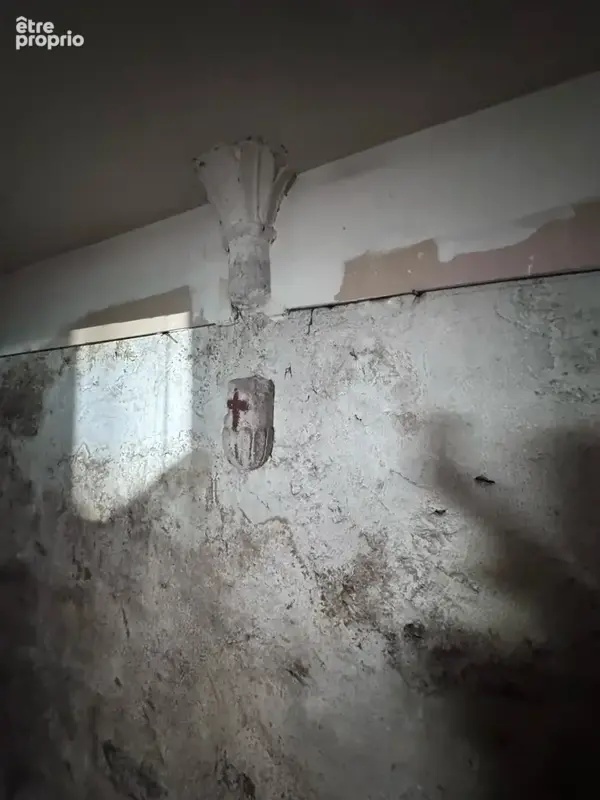 Immeuble de plus de 450 m2 à rénover Centre historique de Murat - photo 33