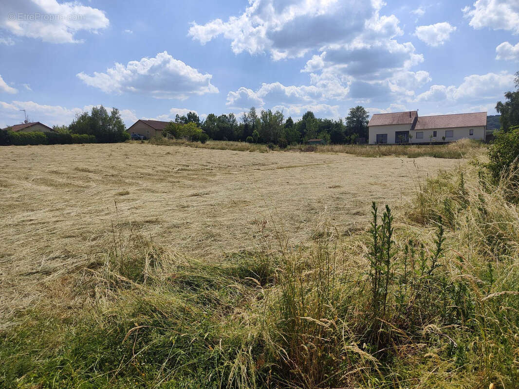 Terrain à HERBEUVILLE