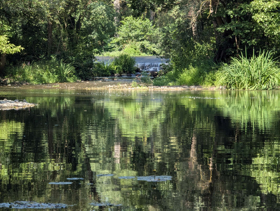 Meulière de caractère avec parc d'environ 6 000 m2  en bord de rivière - photo 25