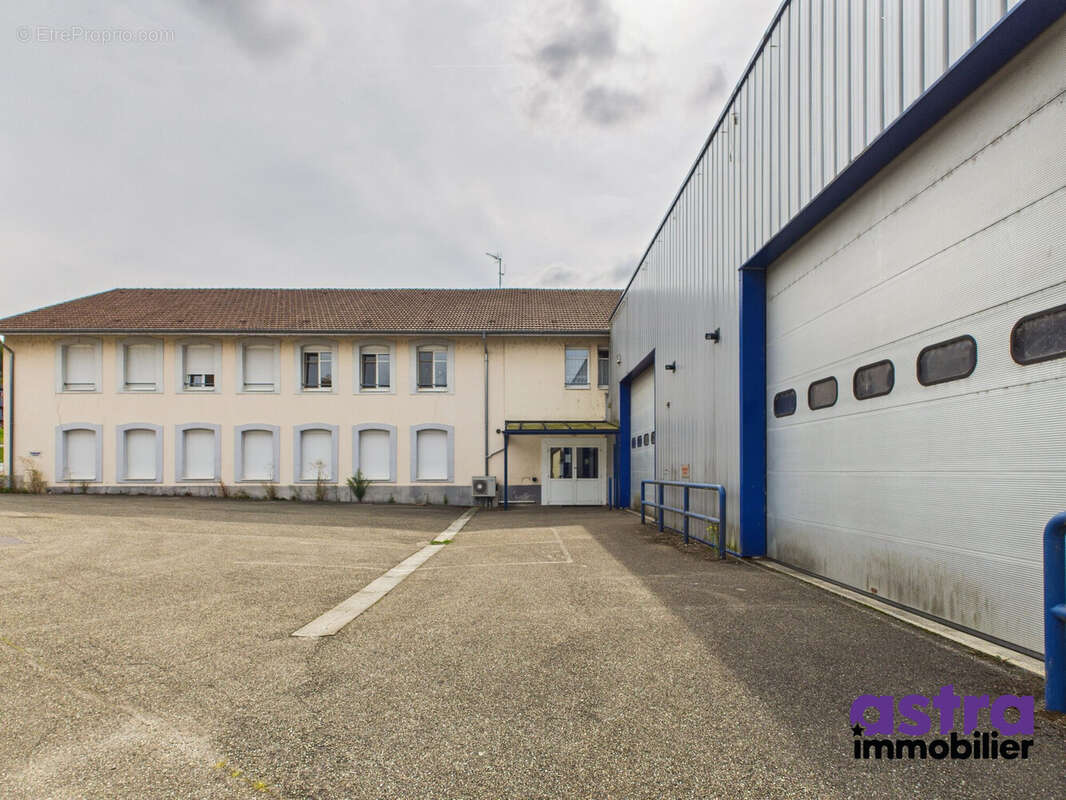 Commerce 1243 m² à Waldighofen  - photo 9