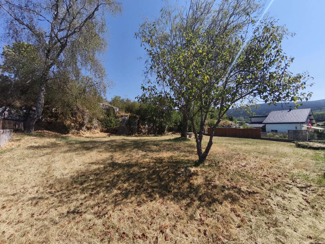 maison de plain pied sur 1700m2 de terrain - photo 3