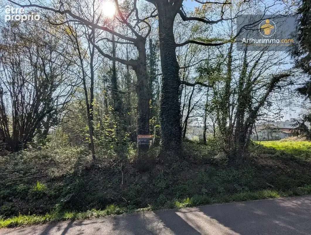 Vente Terrain Guehenno(56420) 15 000ï¿œ - photo 3