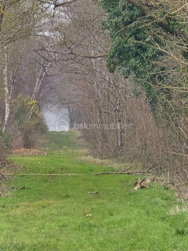 Maison à MONTREUIL-BELLAY