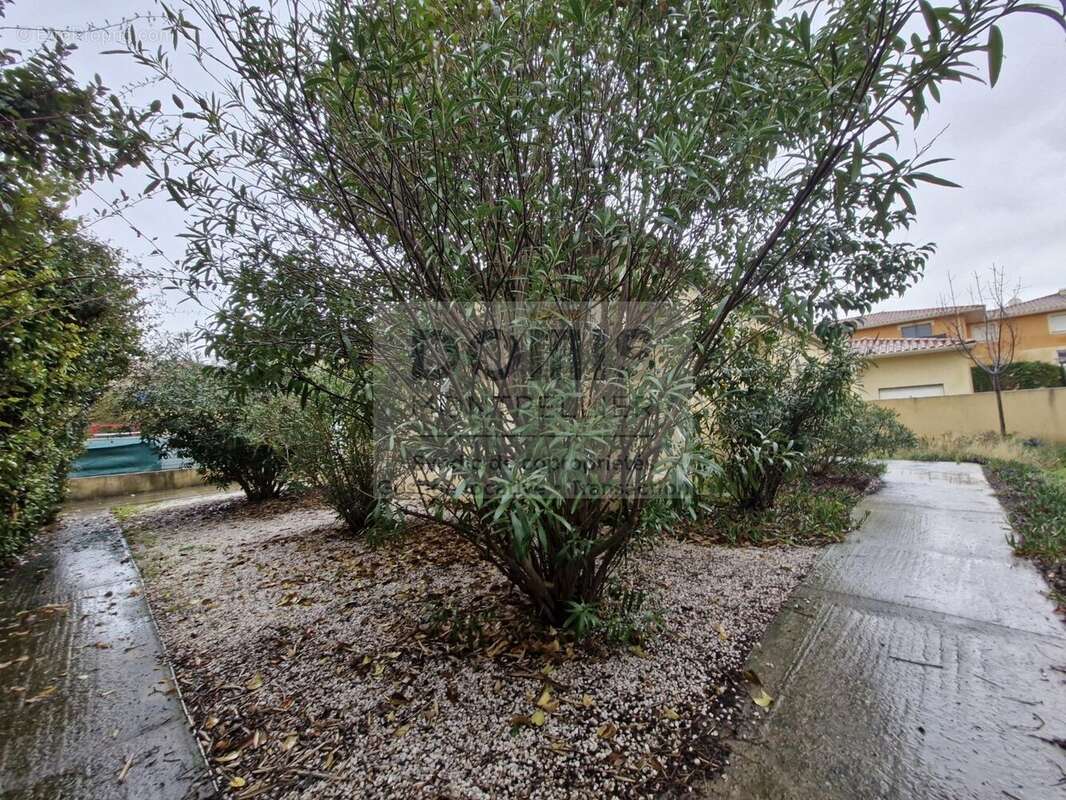 Maison à FRONTIGNAN