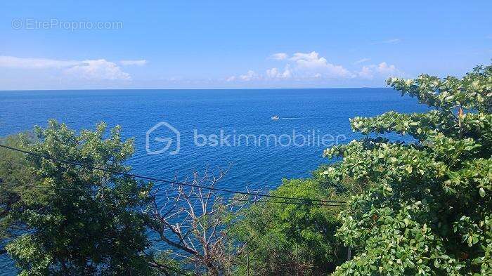 Appartement à BASSE-TERRE