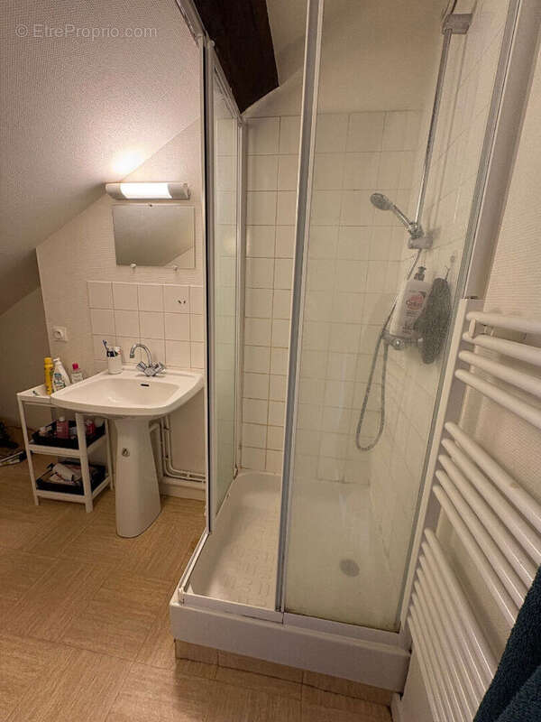 Lot de 2 Appartements Saumur T2 38 et 32 m2 - photo 8