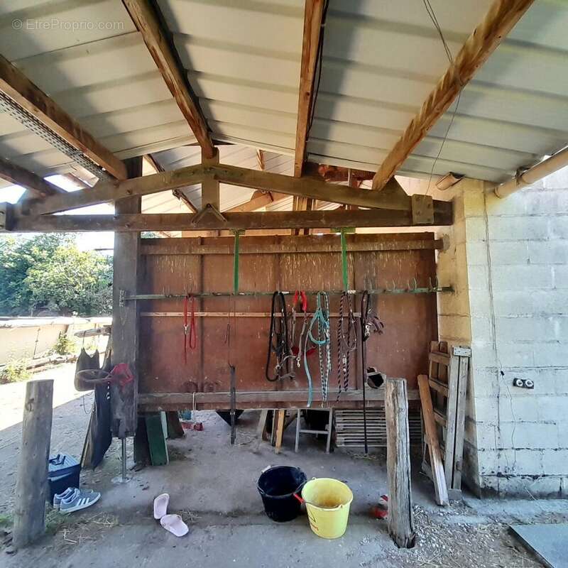 Appartement à MARSANGY