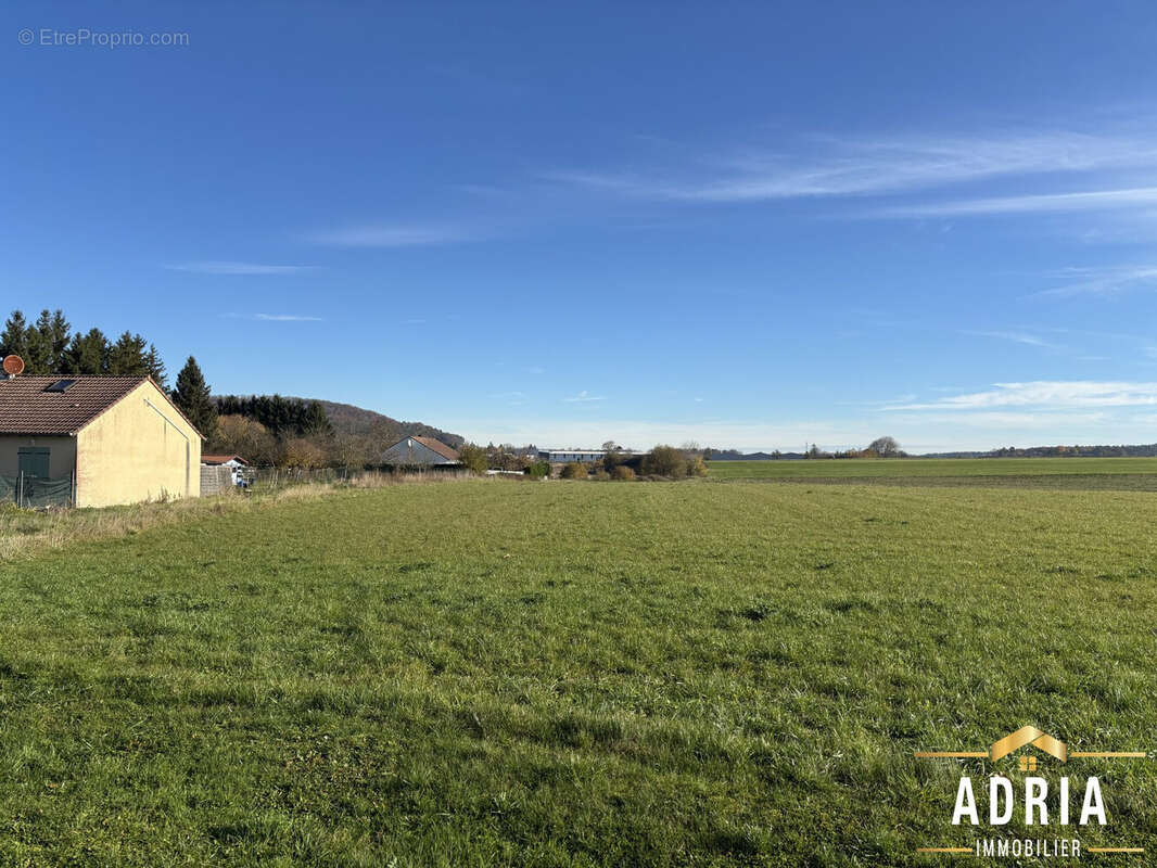 Terrain à LIFFOL-LE-GRAND