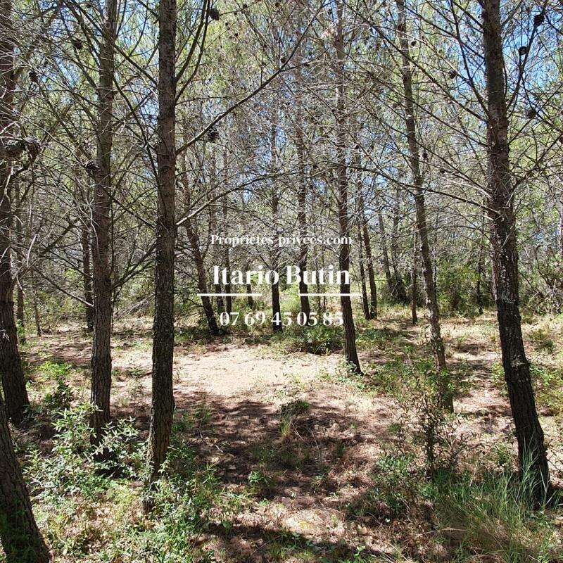 Terrain à CAPESTANG