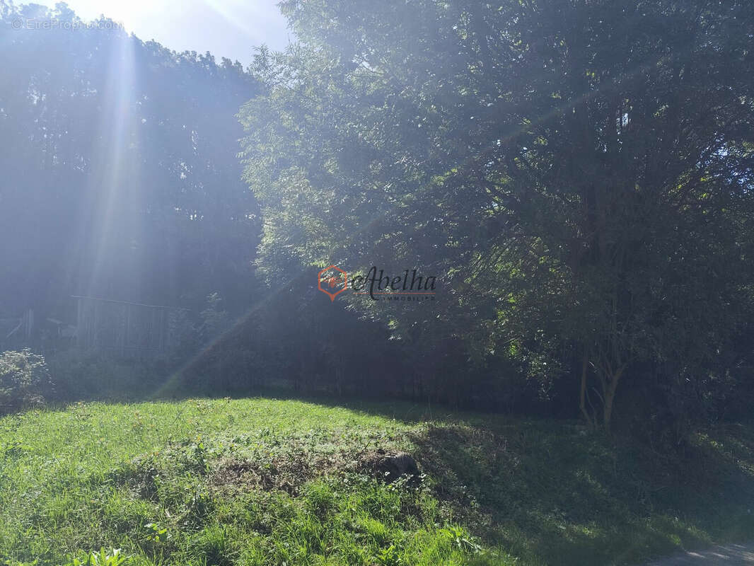 Terrain à ASPRES-LES-CORPS