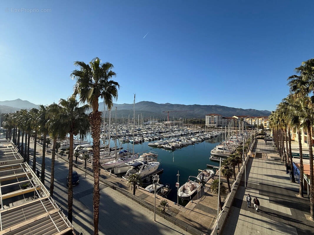 Photo 1 - Appartement à ARGELES-SUR-MER